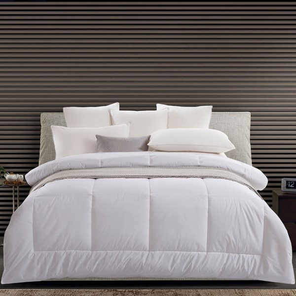 Hotel with four seasons core (4)