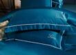 Luxury embroidered ultra-soft pillow and pillowcase set for hotel linen